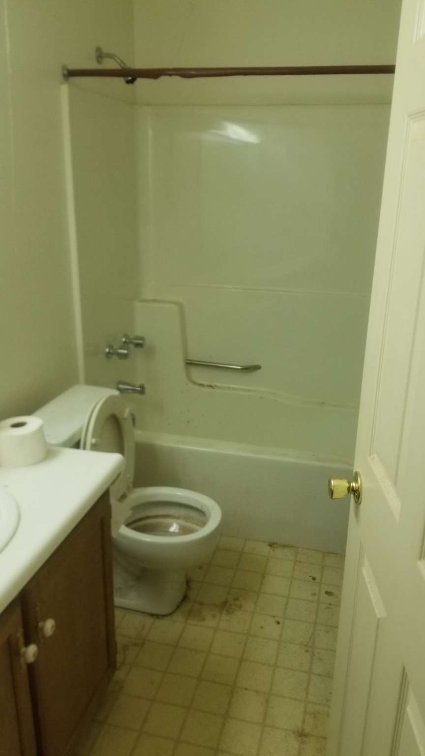 Bathroom renovation before renovation